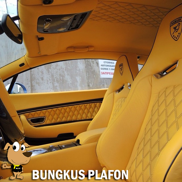 Bungkus plafon mobil